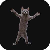 Dancing Cat Live Wallpaper