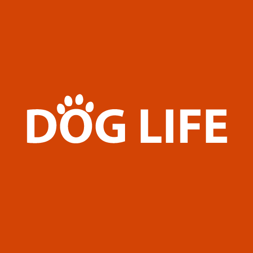 Dog Life icon