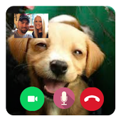 Call Video Talking Puppy Prank icon