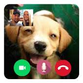 Call Video Talking Puppy Prank