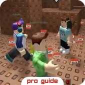 Guide ROBLOX