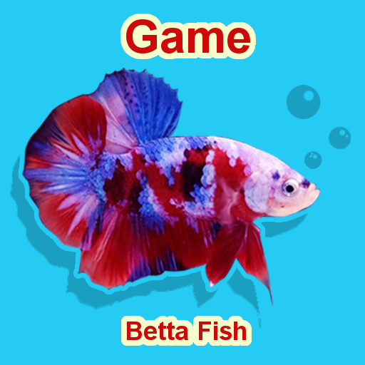 Betta Fish Seller icon