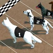ikon Crazy Dog Racing