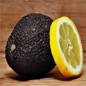 Fat Burning Foods icon