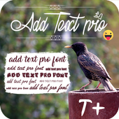 Add Text Pro icon