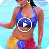 Bhojpuri Video Songs