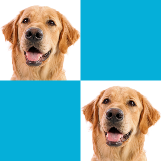 MemoFinder - Juego de Memoria icon