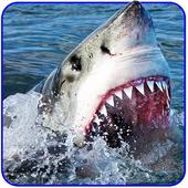 Angry Shark Attack Simulator - Adventure Game icon