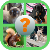 Adivina Animales icon