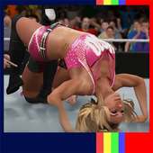 Guide for WWE immortals champions