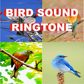 Birds sounds ringtones icon