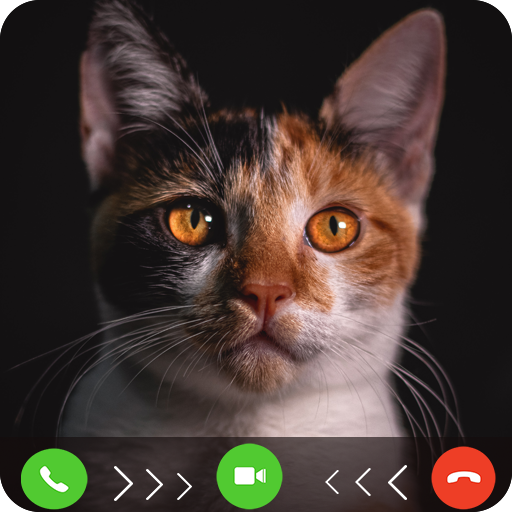 cat fake video call prank icon