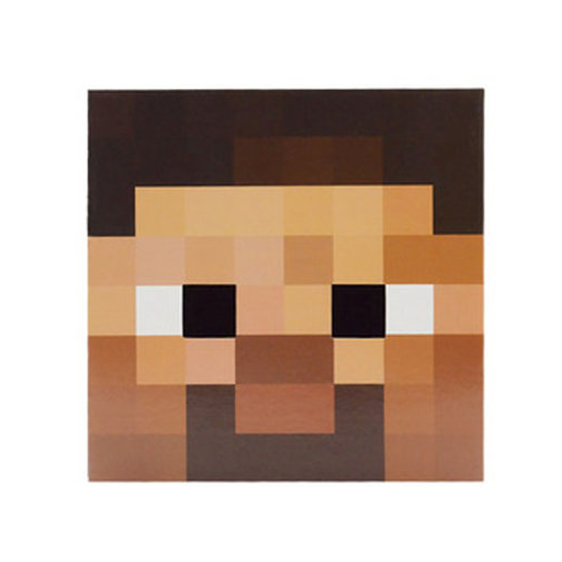 Minecraft Skin icon