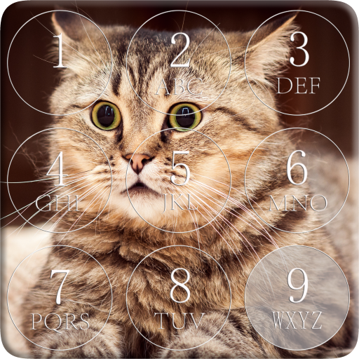 Cat Password Lock Screen icon