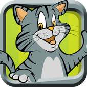 Cats. Questions and Answers