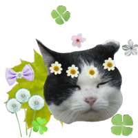 Clock   English on 9Apps