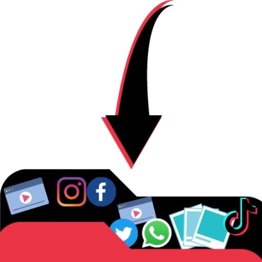 Baixador de Stories - Baixe videos e fotos icon