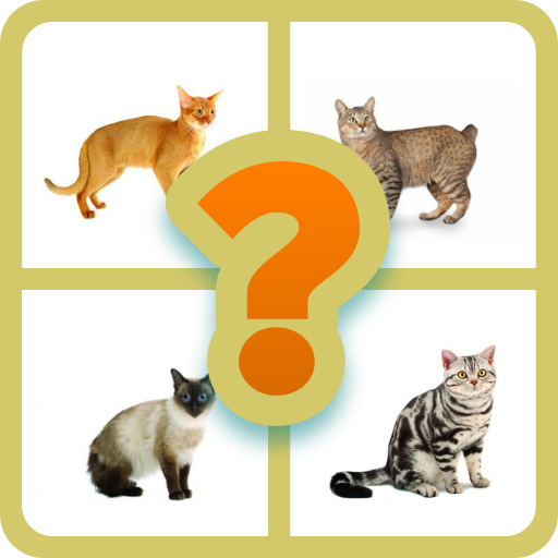 GUESS THE CAT? icon