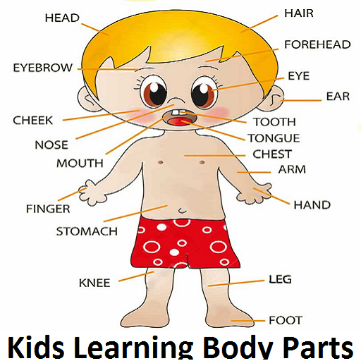 Kids Learning Body Parts Name icon