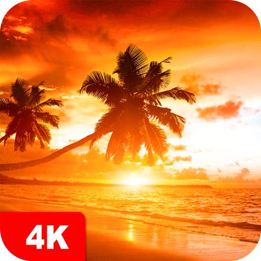 Sunset Wallpapers 4K