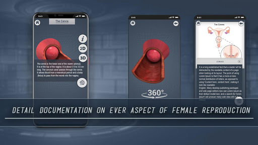 Female Reproductive System 3D screenshot 5