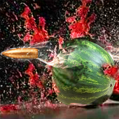 Watermelon Shooting Challenge 3d Shooting Game icon