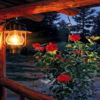 Flowers In Night LWP