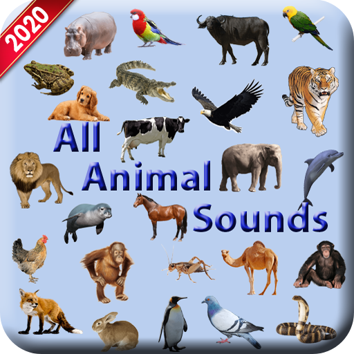 All Animal Sound icon