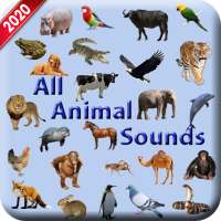 All Animal Sound