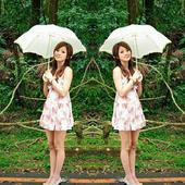 Mirror Image:Mirror Photo icon