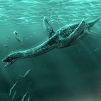 Plesiosaurus Simulator on 9Apps