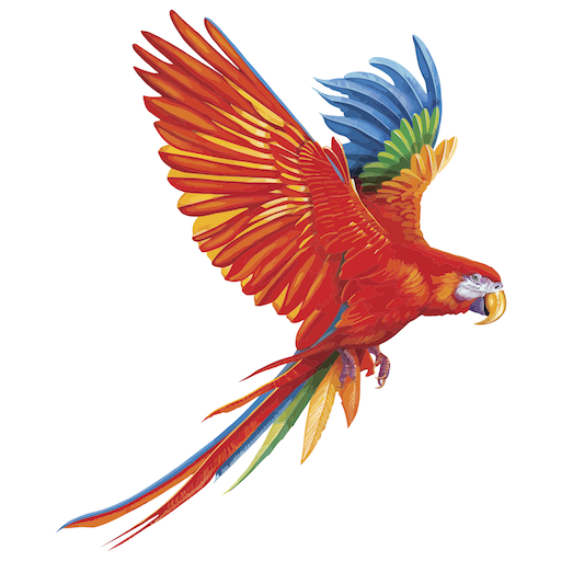 ikon Maui Jim Trade Account Catalog