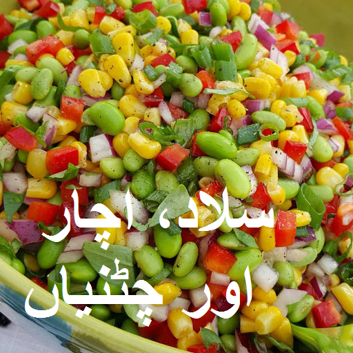 Urdu Salad Recipes icon