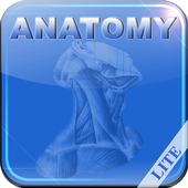 Human Anatomy I Lite icon