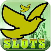 Crazy Bird Slot icon
