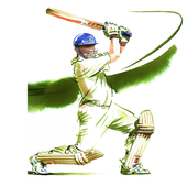 Women World Cup 2017 Cricket icon