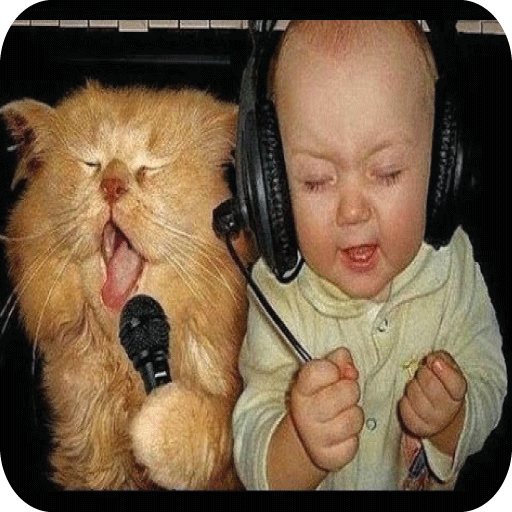 Top Funny Vidoes icon