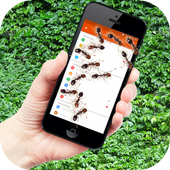 Ants on screen funny joke icon