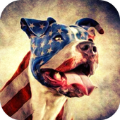 Pitbull Dog HD Lock Screen icon