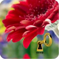 Gallery Vault & Gallery Lock on 9Apps