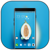 Theme for cantaloupe fruit blue simple wallpaper icon