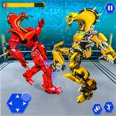 Real Snake Robot Ring Fighting