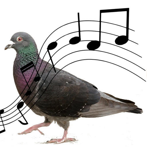 Sonidos de Palomas icon