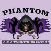 Phantom Kickboxing on 9Apps