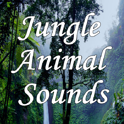 free jungle sounds jungle sleep sounds icon