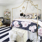 Pottery Barn Teen Furniture icon