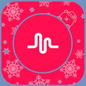 Filters&Transactions of Musical.ly on 9Apps