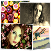 Photo Collage icon