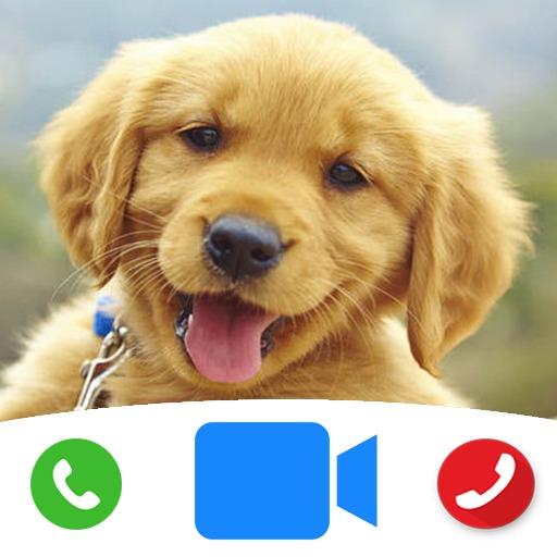Cute Dog Prank Call - Fake Call icon