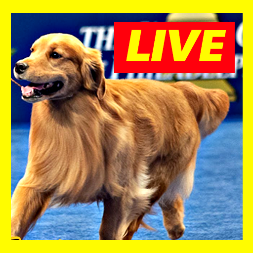 Watch Dog Show Live Stream FREE icon